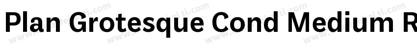 Plan Grotesque Cond Medium Regular字体转换